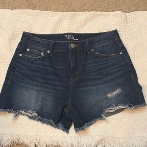 Time And Tru Women’s High Rise Denim Distressed Jean Shorts | Size 6 NWOT
